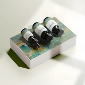Cosmetic Travel Packaging 12